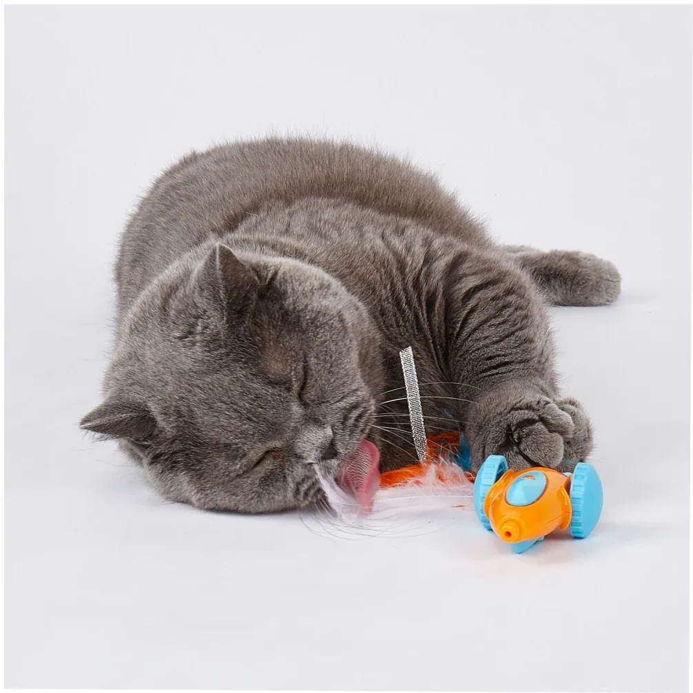 Fofos Race Car Shaped Interactive Toy for Cats - Image 2