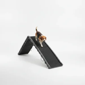 Folding Dog Ramp