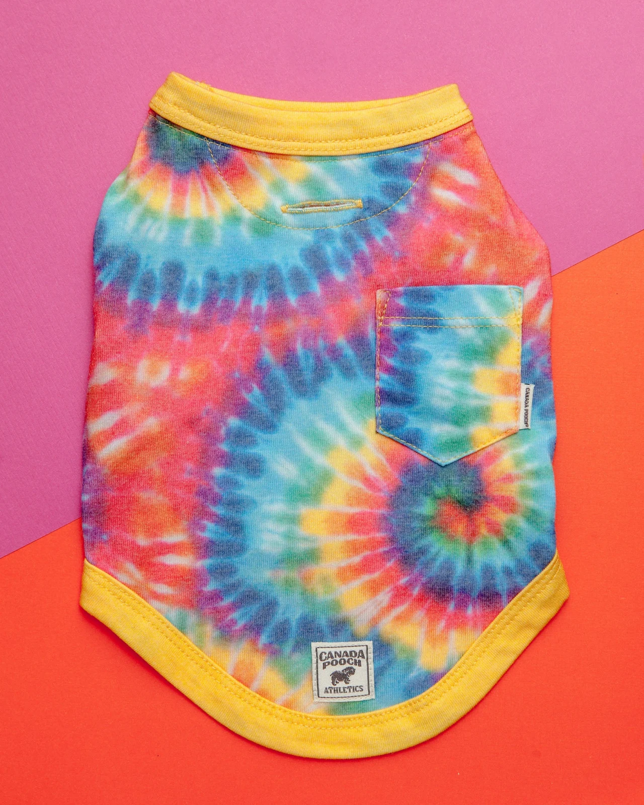 Follow Me Dog Tee in Tie Dye (FINAL SALE)