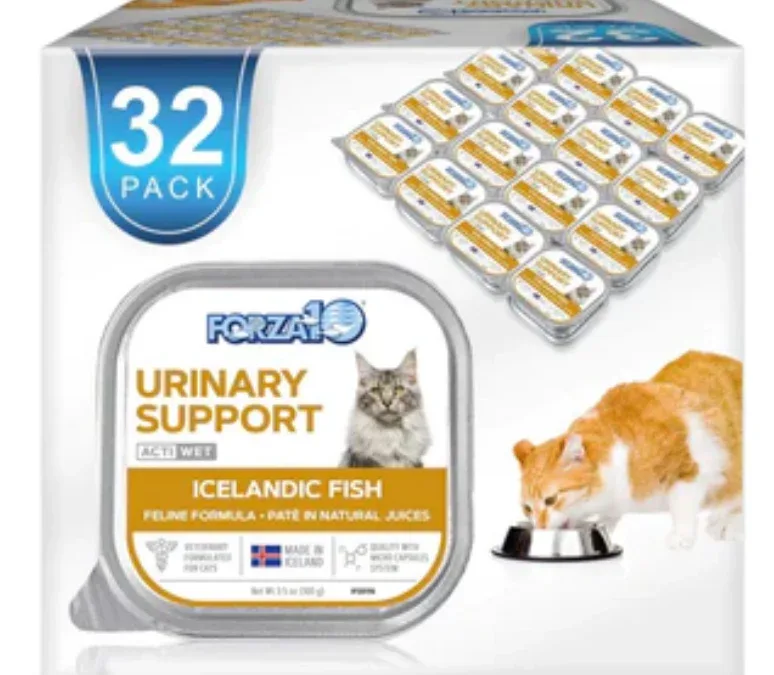 Forza10 Nutraceutic Actiwet Urinary Support Icelandic Fish Wet Cat Food-3.5oz