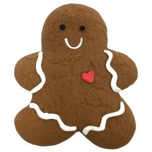 FOU FOU PET | Heart Gingie Chew Latex Toy