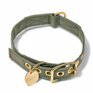 FOUND MY ANIMAL | Olive Cotton Canvas Collar