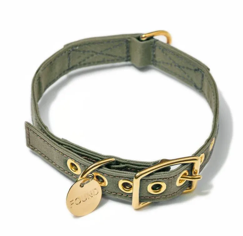 FOUND MY ANIMAL | Olive Cotton Canvas Collar