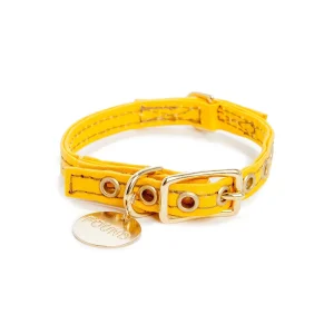 FOUND MY ANIMAL | Yellow Waxed Canvas Collar