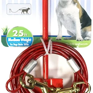 Four Paws Roam About Dog Tie Out Stake with Cable Red, 1ea/25 Foot