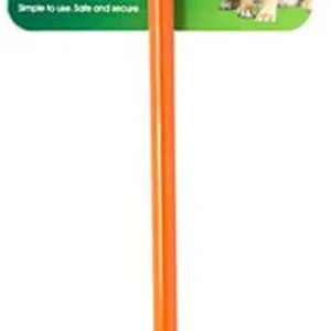 Four Paws WalkAbout Dog Tie Out Stake Orange, 1ea/28 in