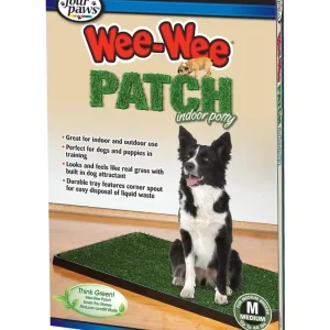 Four Paws Wee Wee Indoor Potty Medium