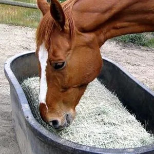 Freedom Feeder Full Bale Net