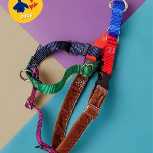 Freedom No-Pull Harness in Spice (Made in the USA)