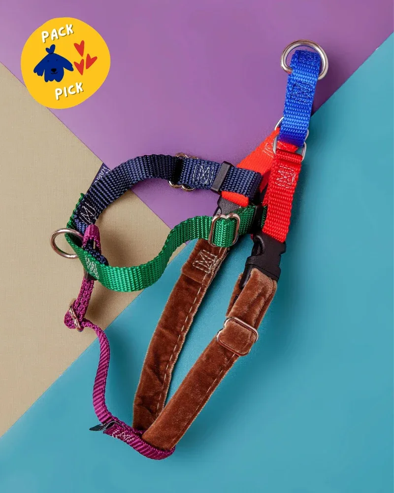 Freedom No-Pull Harness in Spice (Made in the USA)