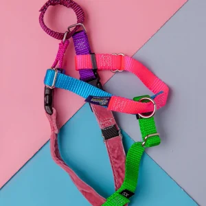 Freedom No-Pull Harness in Sugar (Made in the USA) (CLEARANCE)