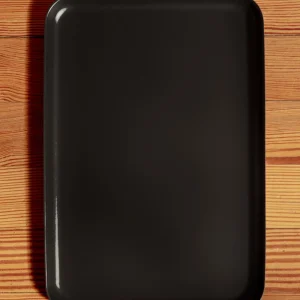 Fresco Dog Bowl Tray in Black (FINAL SALE)