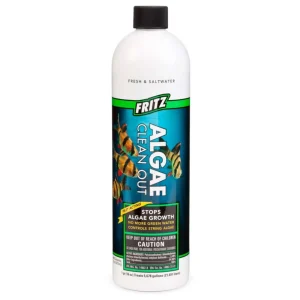 Fritz Algae Clean Out, 16 fl oz
