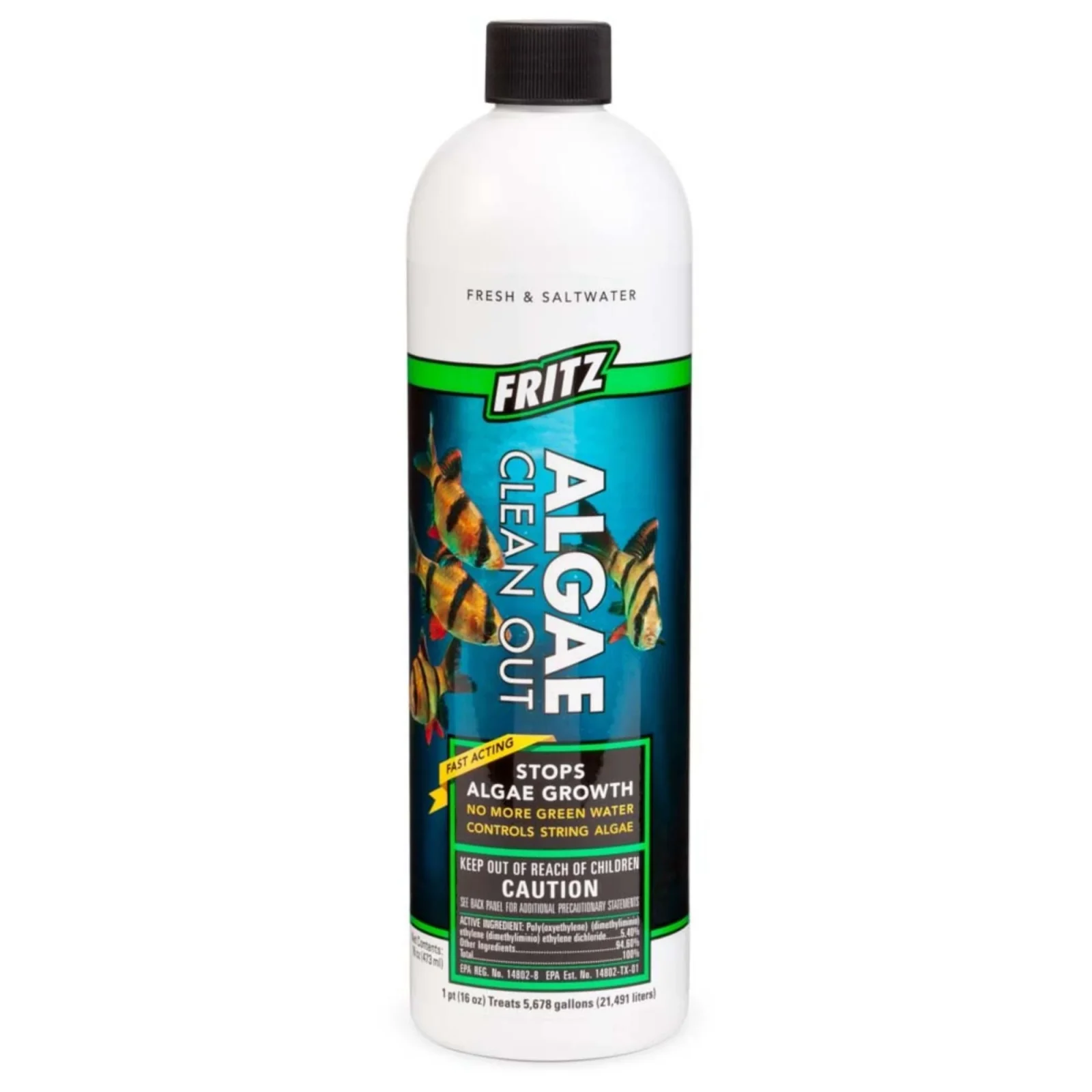 Fritz Algae Clean Out, 16 fl oz
