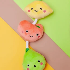 Fruit-on-a-Rope Dog Toy