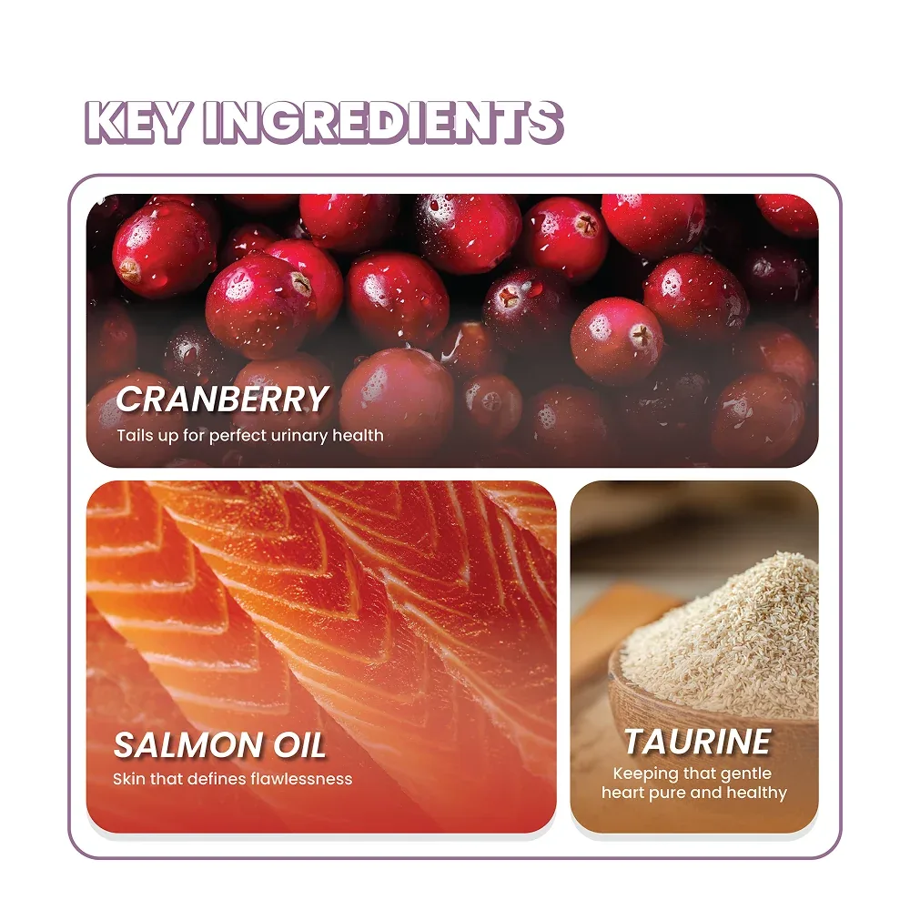 Fullr Daily Wellness Soft & Chewy Cat Treats - Image 2