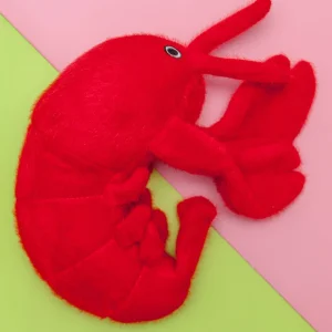 Fuzzy Sea Plush Lobster Dog Toy