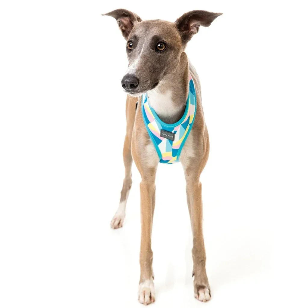 FUZZYARD | South Beach Harness