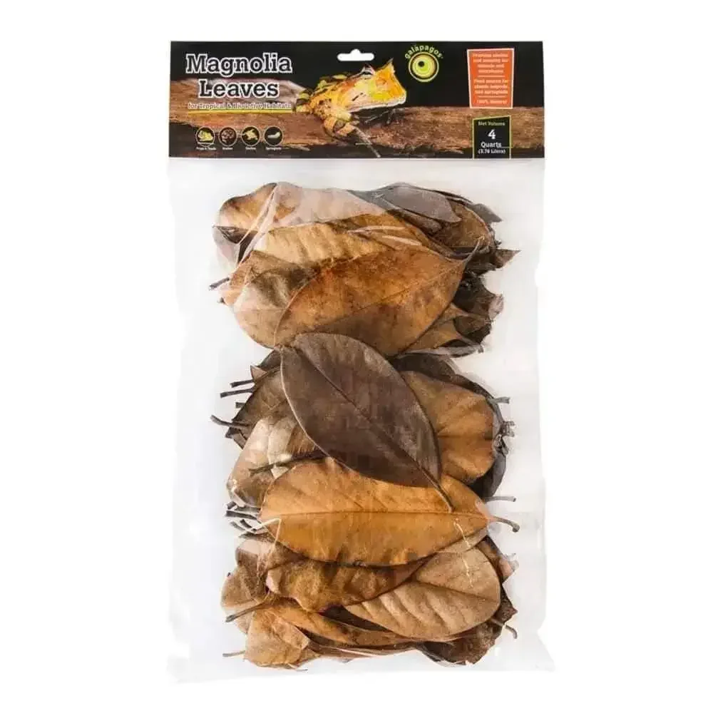 Galapagos Magnolia Leaves for Tropical & Bioactive Habitats Leaves Brown 4 qt