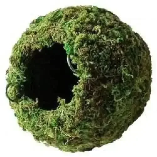 Galapagos Mossy Cave Fresh Green Terrarium Hideaway