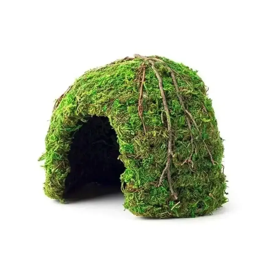 Galapagos Mossy Dome Terrarium Hideaway Dome Fresh Green