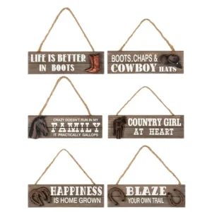Ganz Assorted Hanging Western Signs