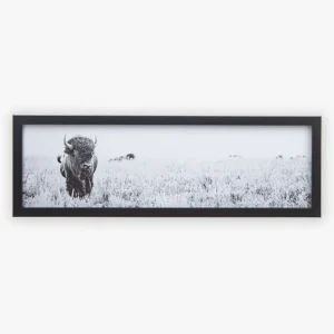 Ganz Black and White Framed Landscape Buffalo Wall Decor
