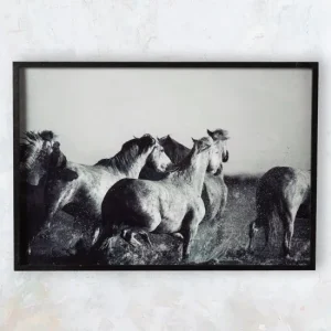 Ganz Black & White Running Horses Glossy Photography Framed Art