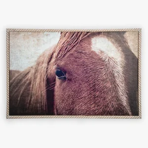 Ganz Carved Roped Framed Horse 32 x22 Wall Decor