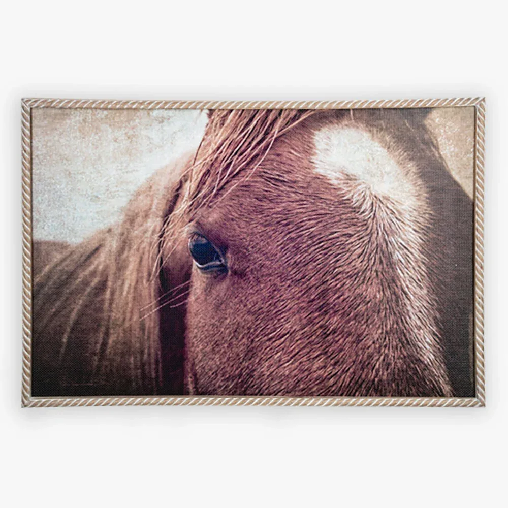 Ganz Carved Roped Framed Horse 32 x22 Wall Decor