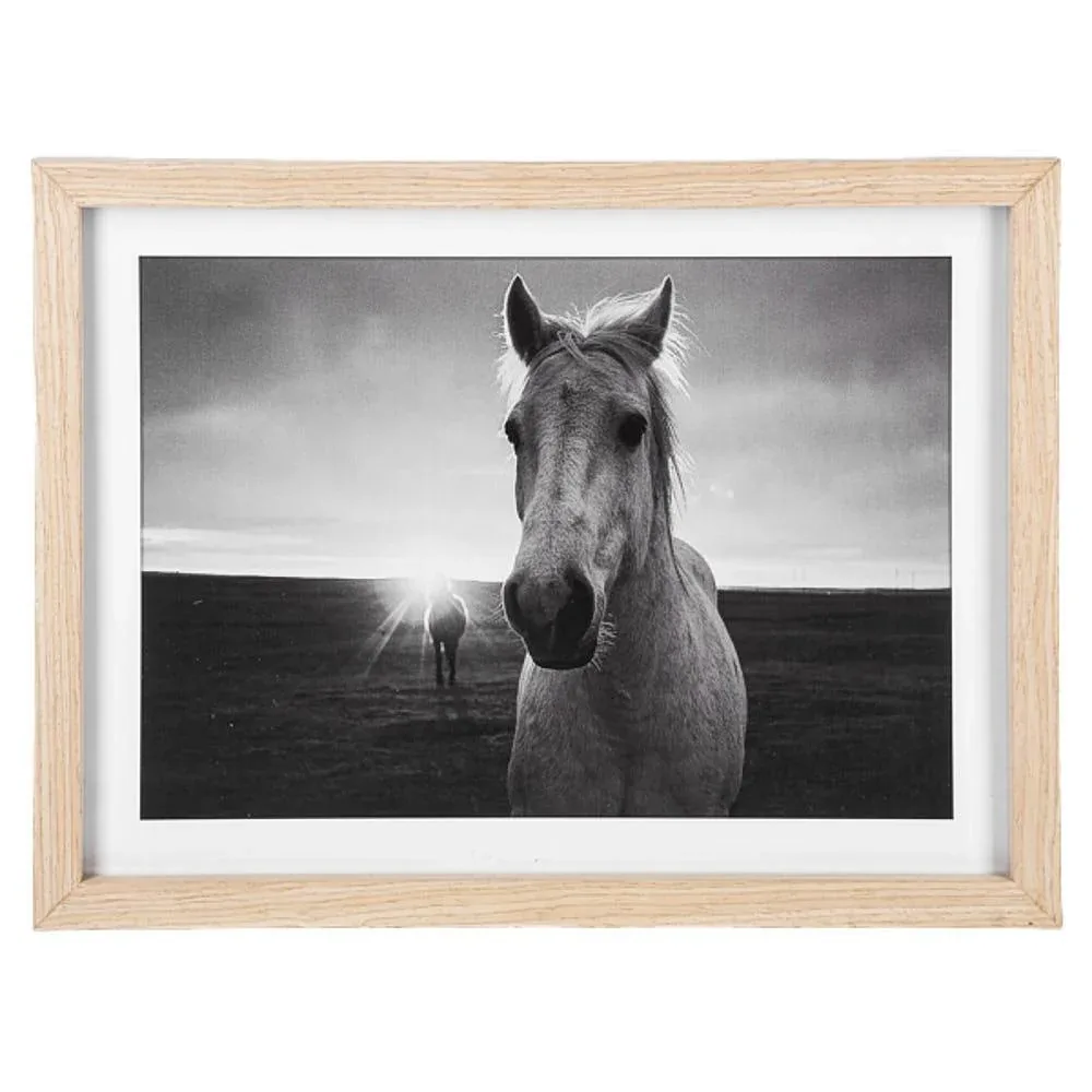 Ganz Framed Black and White Horse Photography Wall Decor -Front
