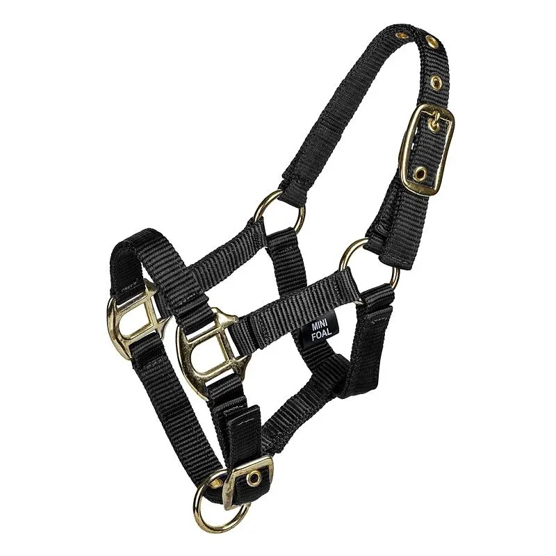 Gatsby 2-ply Nylon Mini Halter - Image 2