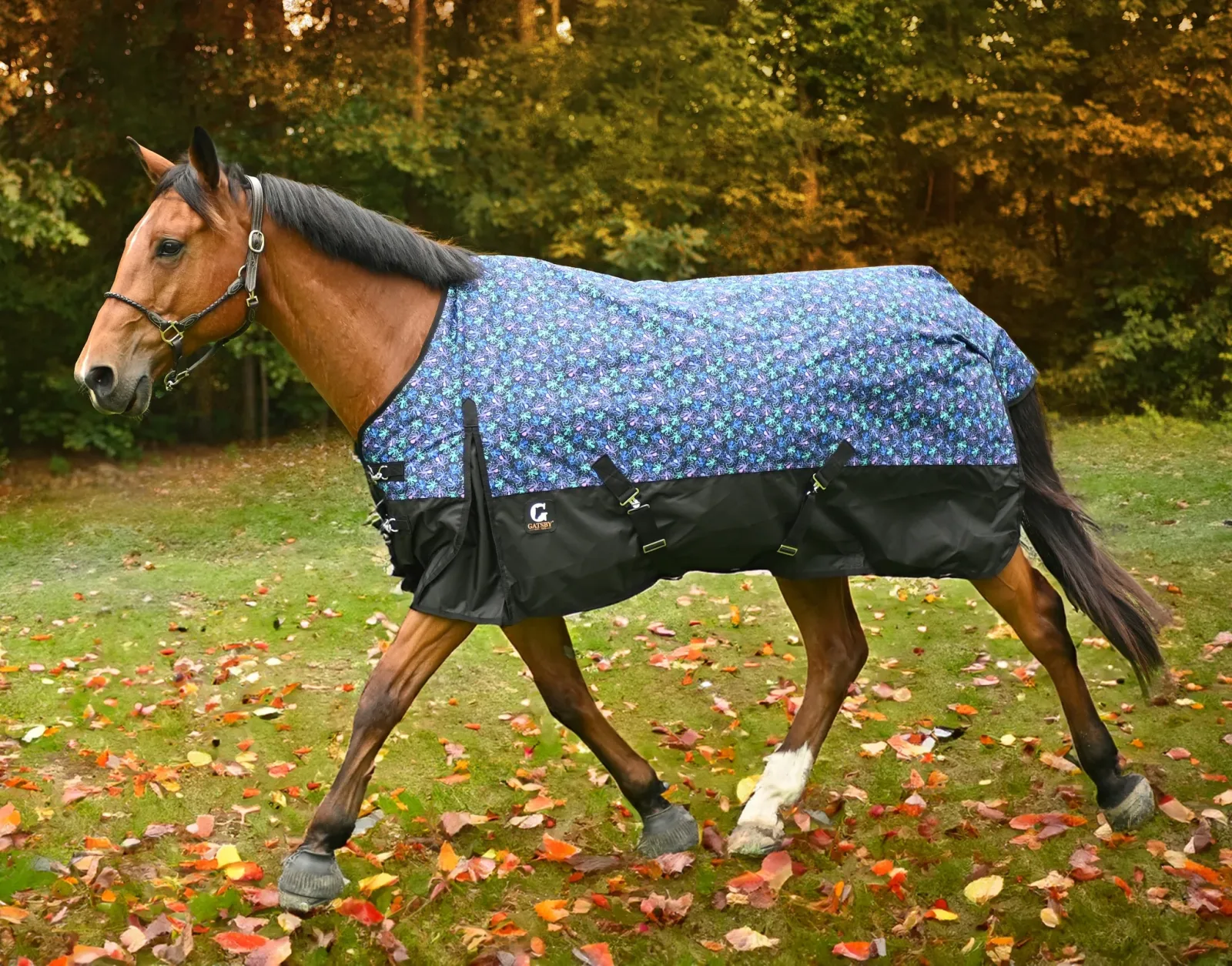 Gatsby Guard 600D 250g Waterproof Turnout Blanket - Image 2