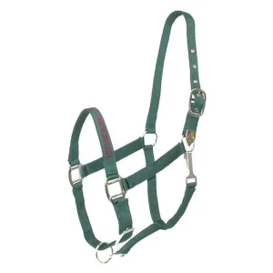 Gatsby I LOVE MY OWNER Nylon Halter