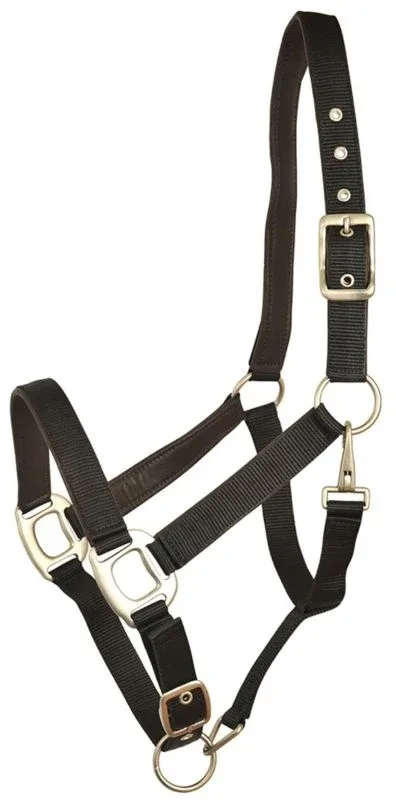 Gatsby Leather Pad Nylon Halter