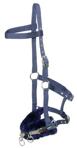 Gatsby Padded Lunging Caveson - Image 2