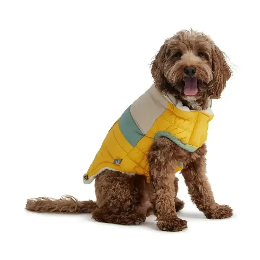 GF Pet Camplife Dog Puffer Jacket