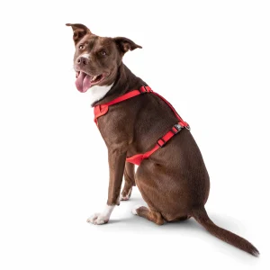 GF PET Travel Harness