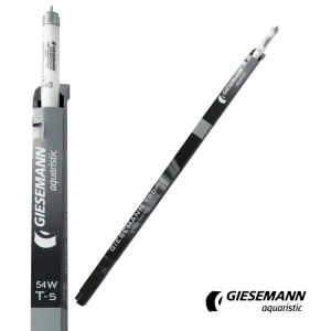 Giesemann 48" Tropic T5 Bulb, 54W