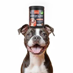 Glucosamine For Dogs Hemp Hip And Joint Supplement For Dogs Glucosamine Chondroitin Chews With MSM Turmeric