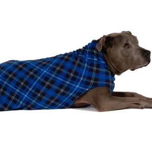 GOLD PAW | Stretch Fleece in Blue Plaid
