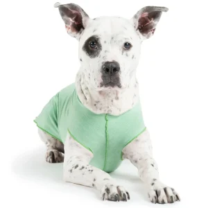 GOLD PAW | Sun Shield Tee in Pistachio Heather