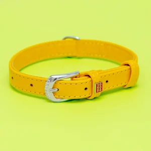 Golden Sunshine Leather Dog Collar <>