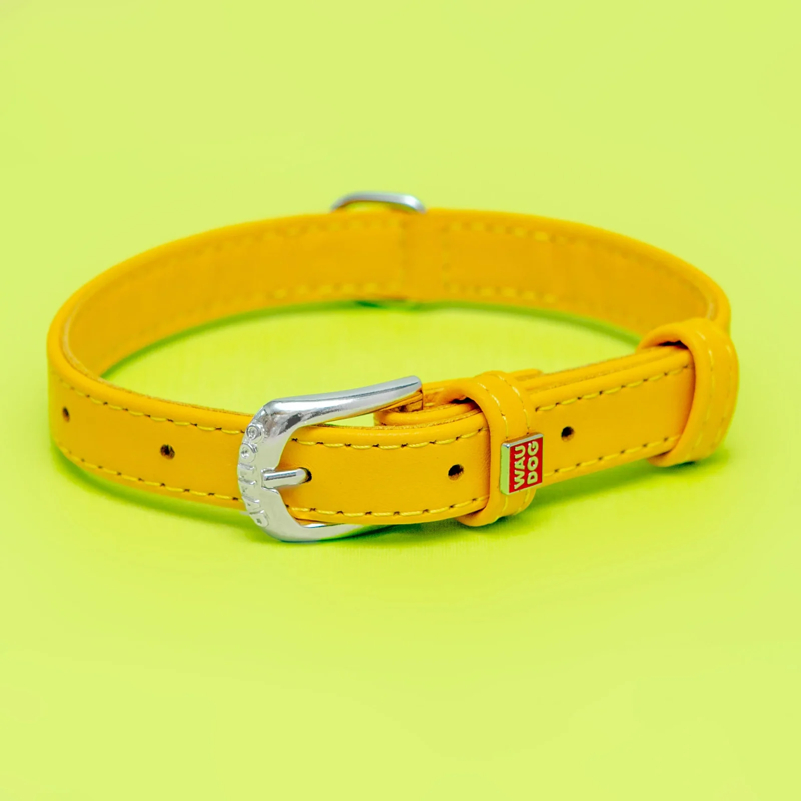 Golden Sunshine Leather Dog Collar <>