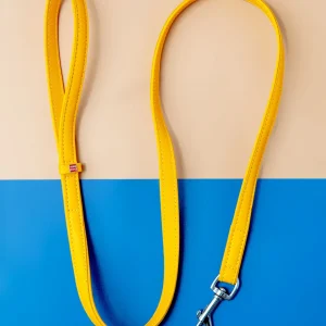 Golden Sunshine Leather Dog Leash <>