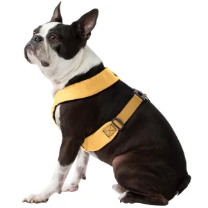 Gooby Comfort X Dual Snap Dog Harness
