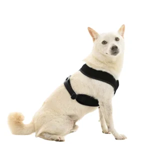 Gooby Comfort X Dual Snap Mesh Dog Harness