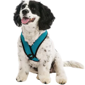 Gooby Comfort X Head In Dog Harness