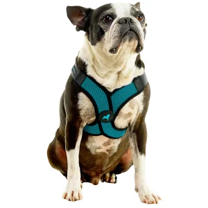 Gooby Comfort X Step In Lite Dog Harness