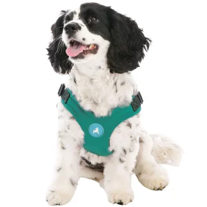 Gooby Escape Free Sports Dog Harness